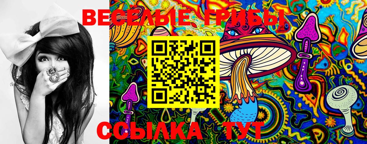 Галлюциногенные грибы MAGIC MUSHROOMS  Галлюциногенные грибы мухоморы  Вход с VPN  Усть-Джегута 