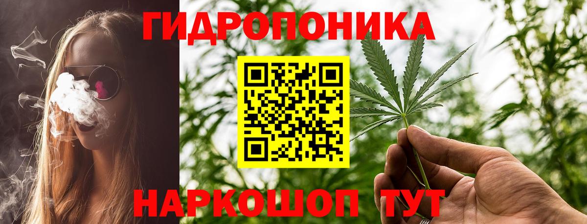 Бошки марихуана индика Усть-Джегута